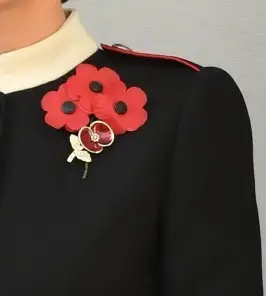 Women of thefirst world war poppy paired with three simple poppies