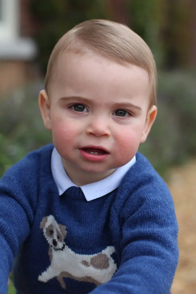 Prince Louis of Cambridge first birthday portrait
