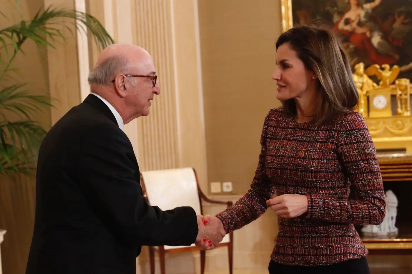 Queen Letizia brought back the elegant tweed for Royal Audience