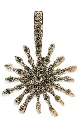 Queen Letizia was wearing her Yanes Sunburst White Gold and Diamond Earrings