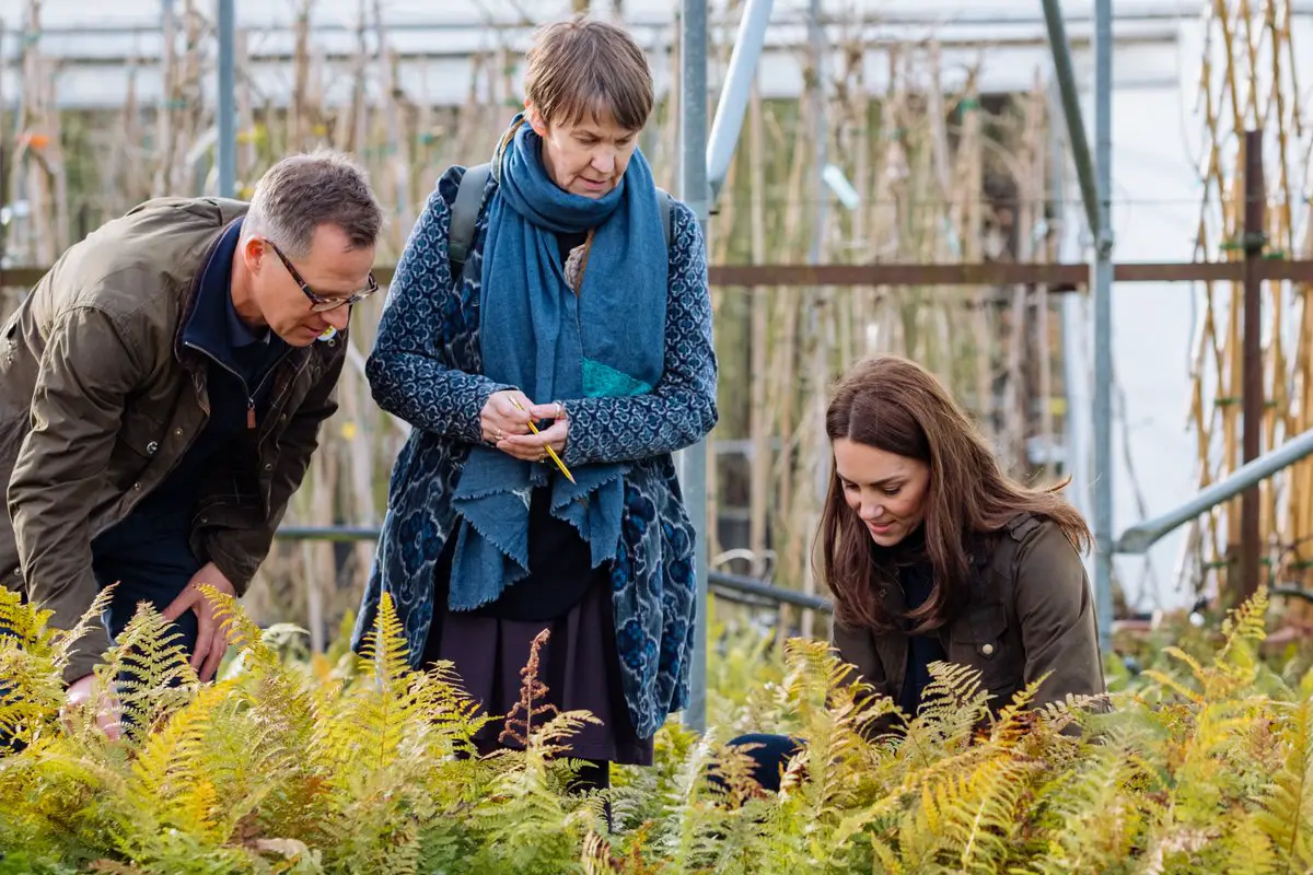 The Duchess of Cambridge's RHS Chelsea Garden is set to launch