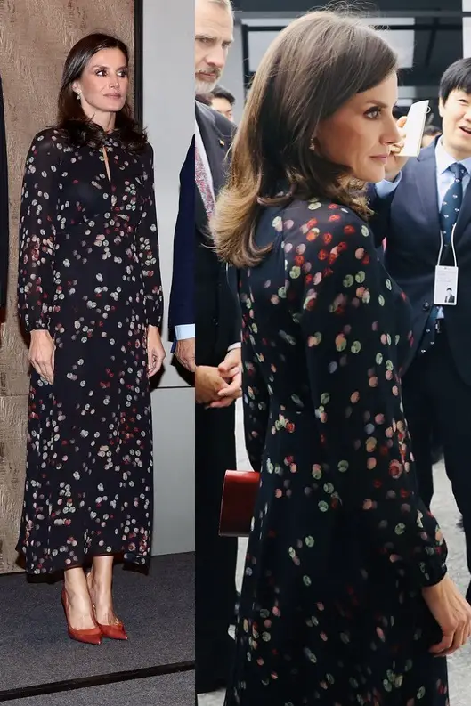 Queen Letizia wore Massimo Dutti Confetti Print Shirt Dress in South Korea