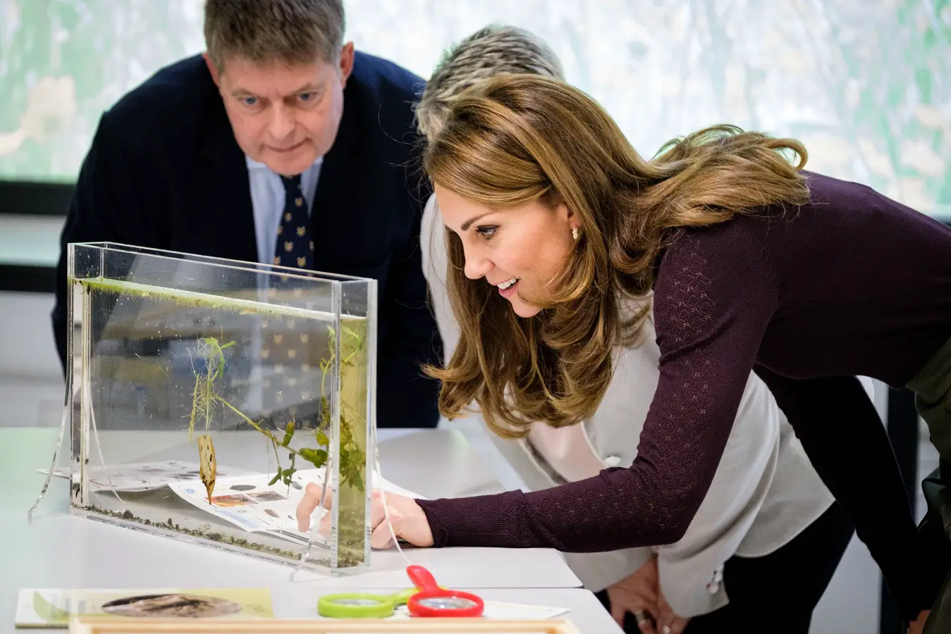 Duchess of Cambridge wore Warehouse Top with Jigsaw trouser to visit Natural History Museum