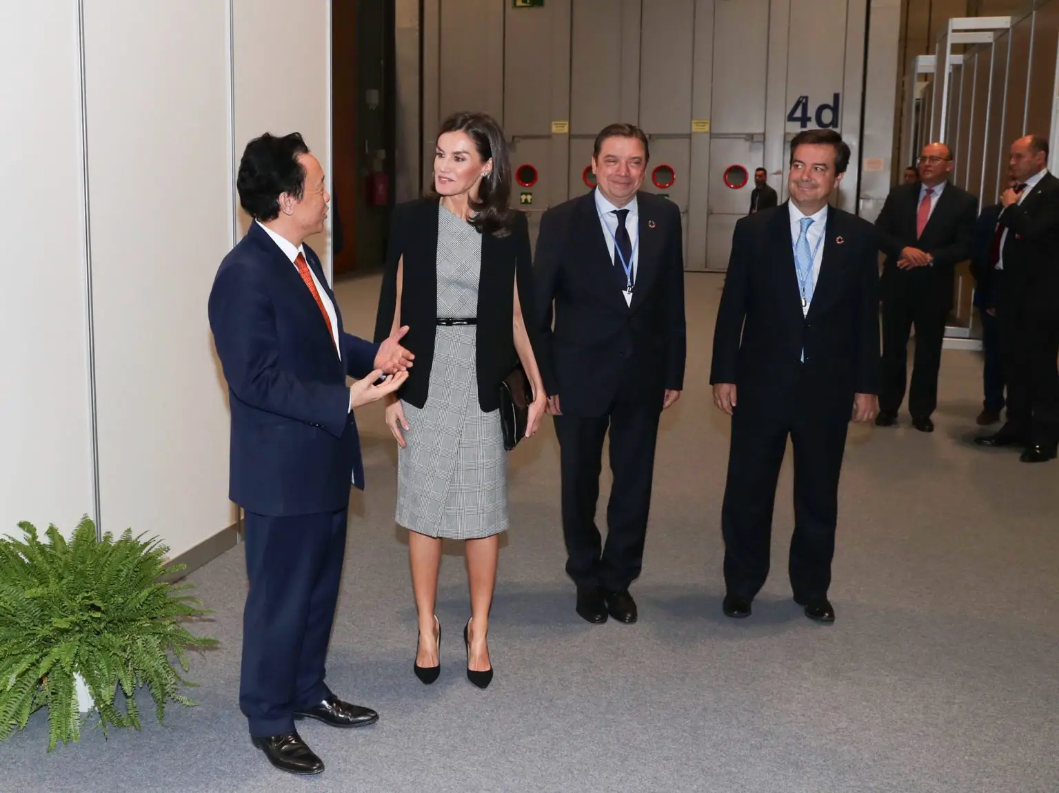 Queen Letizia in Gray Dress for United Nations Climate Change ...