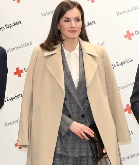 Queen Letizia wore Prince of Wales Print suit at Red cross Meeting 9