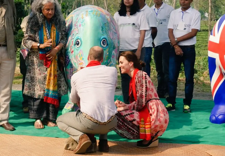 The Duke and Duchess of Cambridge painted Elephants for the parade in India