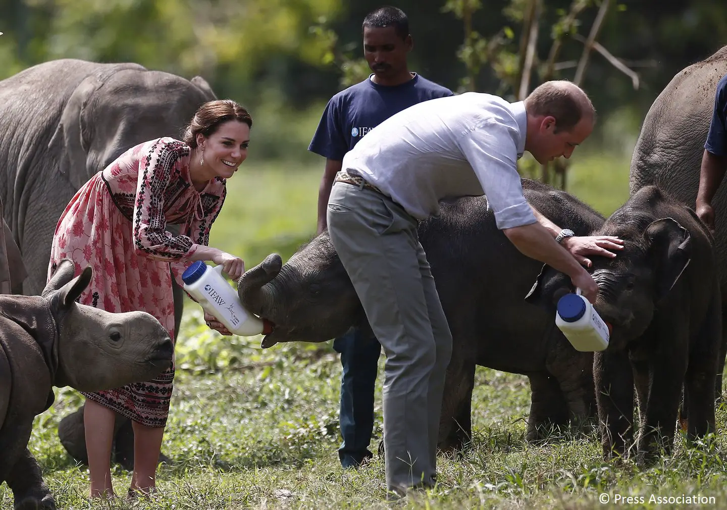 Duke and The Duchess of Cambridge fed baby elephants and rhinos in Assam during India visit