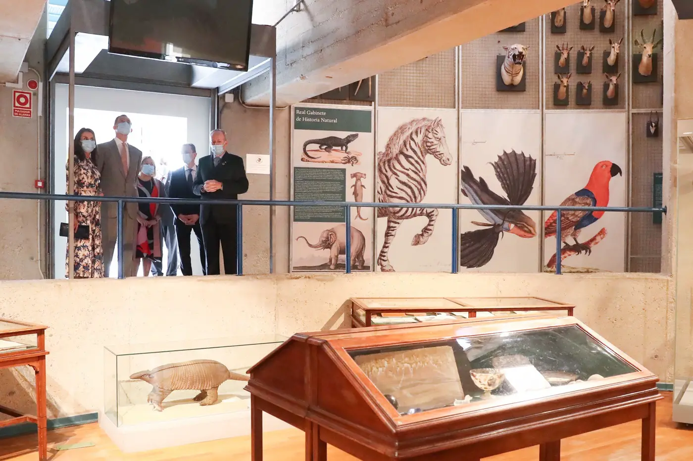 King Felipe and Queen Letizia visited the Natural Science museum