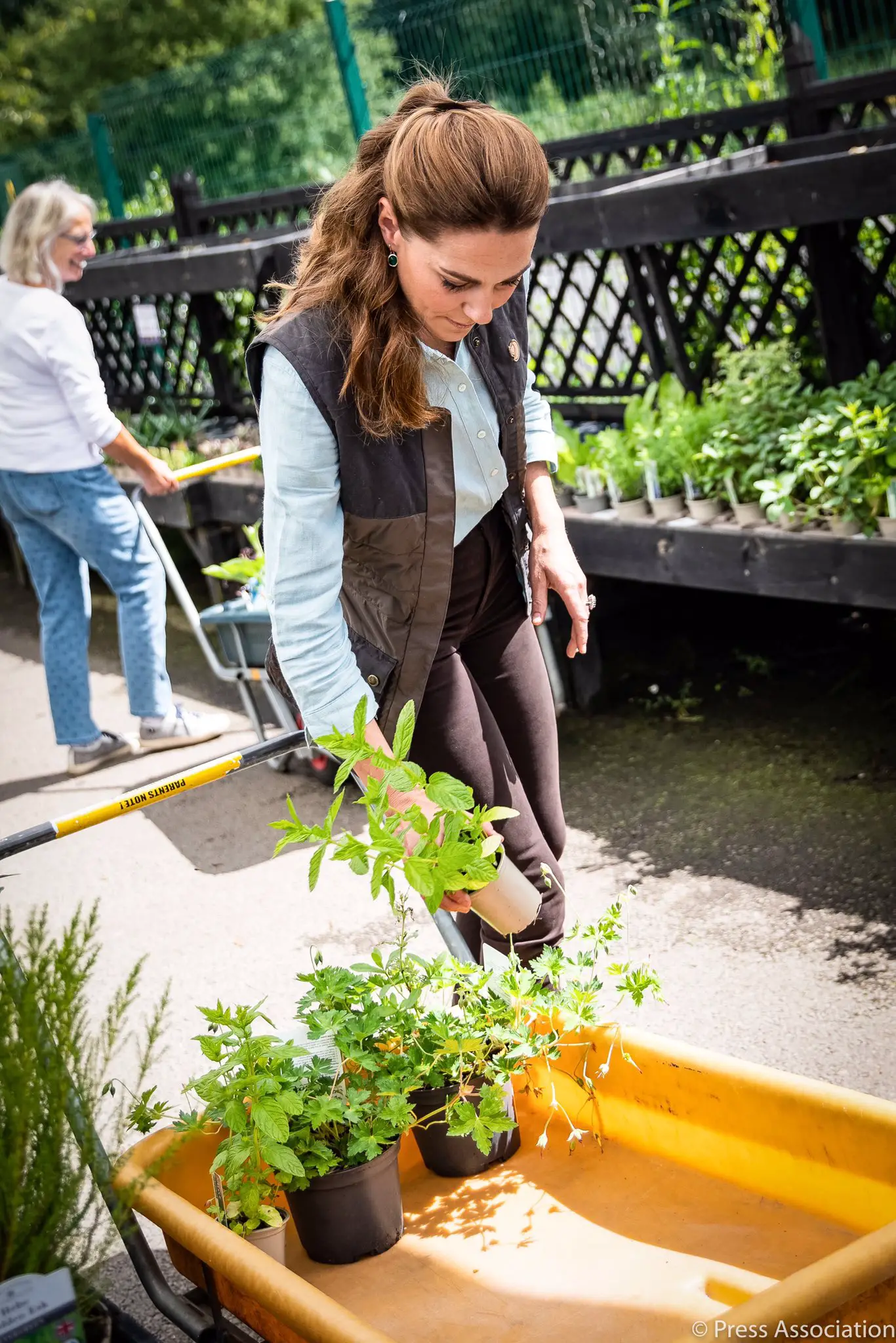 The Duchess of Cambridge visited Falkenham Garden in Nofrolk to buy plants