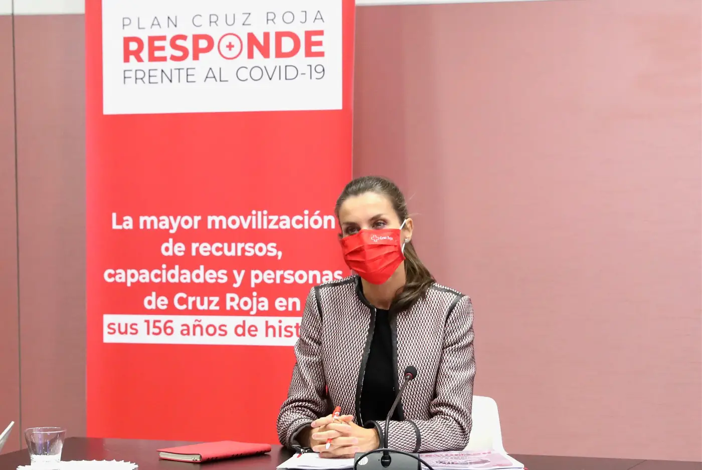 Queen Letizia at Spanish Red Cross meeting in Madrid