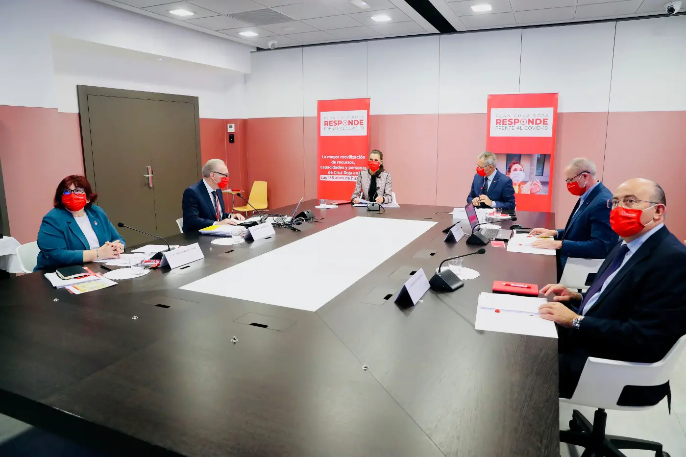 Queen Letizia at Spanish Red cross meeting