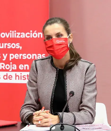 Queen Letizia of Spain in Boss blazer for Spanish Red Cross meeting in Madrid
