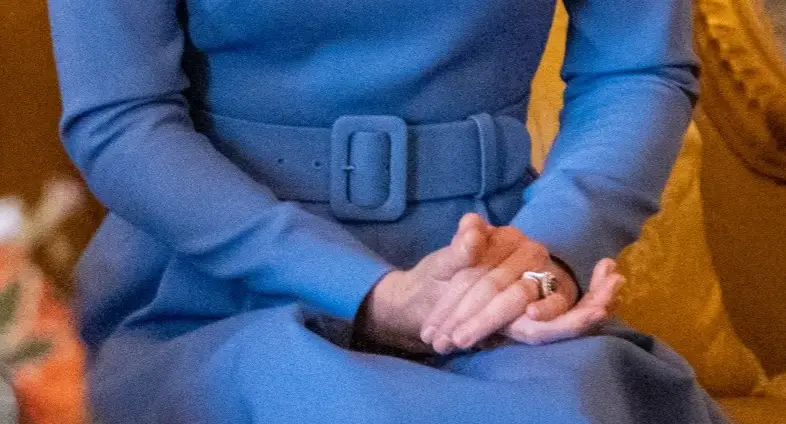 The belt detailing on Duchess of Cambridge's UFO Cornflower blue dress