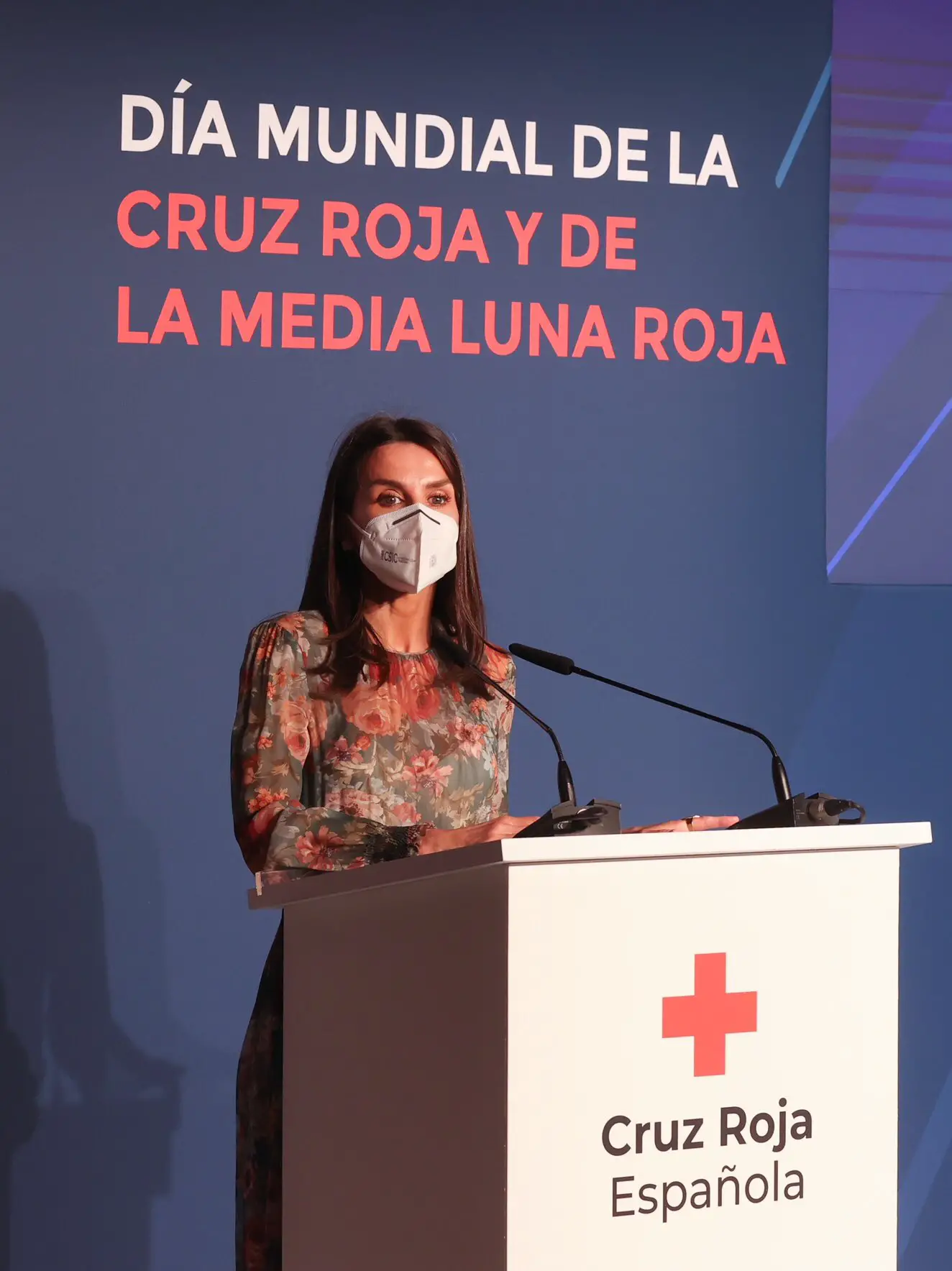 Queen Letizia addressed the guests at the Red Cross Day event