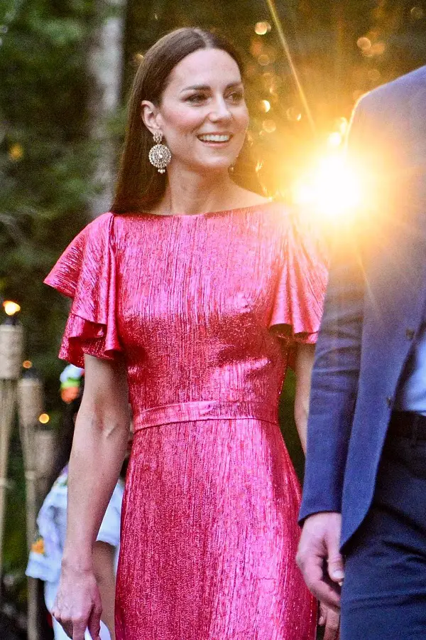 The Duchess of Cambridge was wearing a Vampires Wife pink shimmering gown at Belize reception