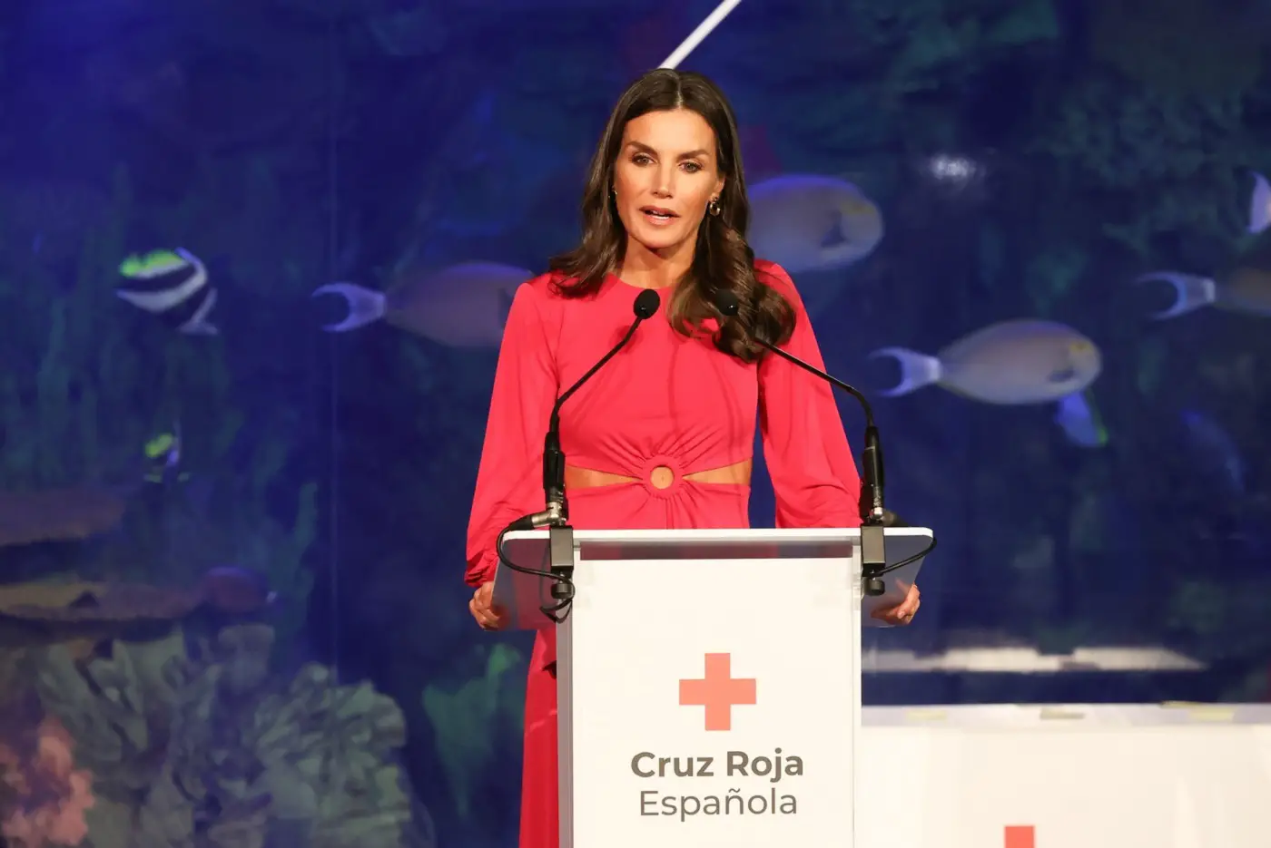 Queen Letizia of Spain Commemorated the "World Red Cross and Red Crescent Day"