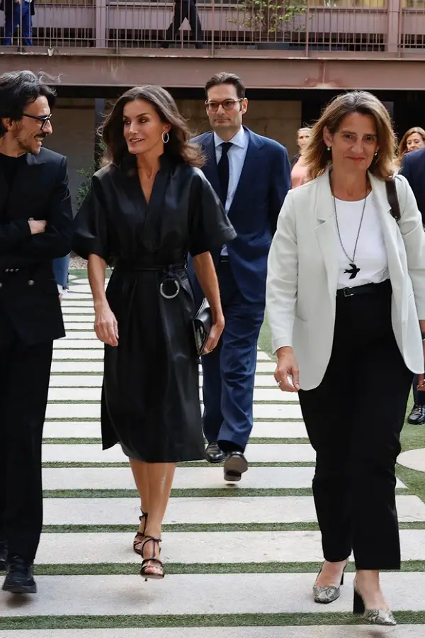 Queen Letizia wore & Other Stories leather belted dress for Retina ECO Awards