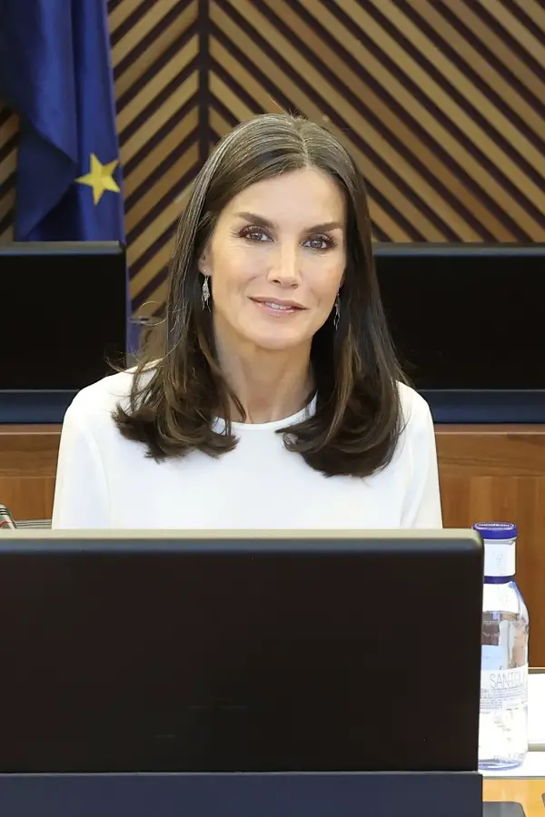 Queen Letizia of Spain the Honorary President of the FAD Youth Foundation presided over the board meeting of the FAD Youth Foundation in Madrid